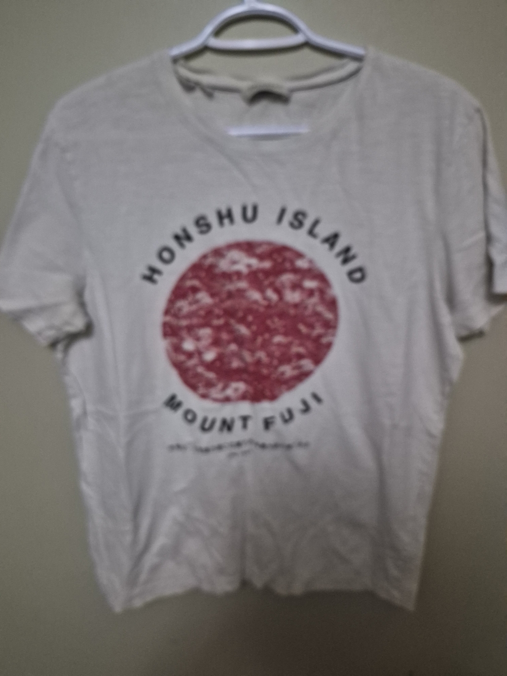 Honshu Island Mount Fuji Graphic Tee - White with Red Print